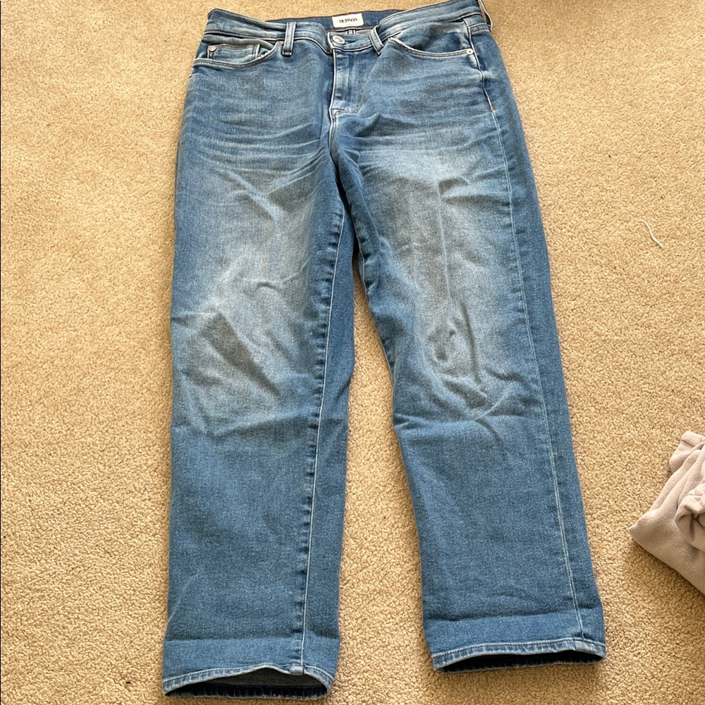 Hudson jeans Zoey high rise straight crop
